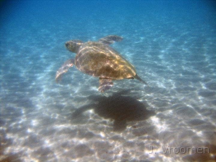 IMG_4943.JPG