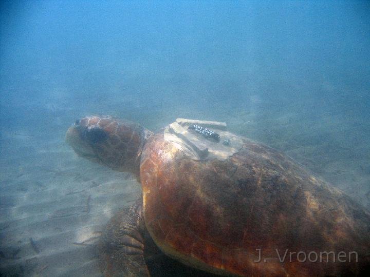 IMG_4987.JPG