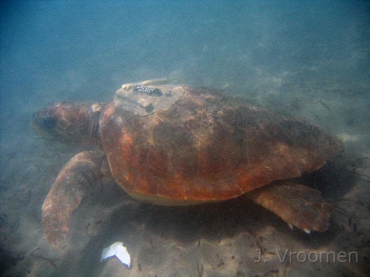 IMG_4989.JPG