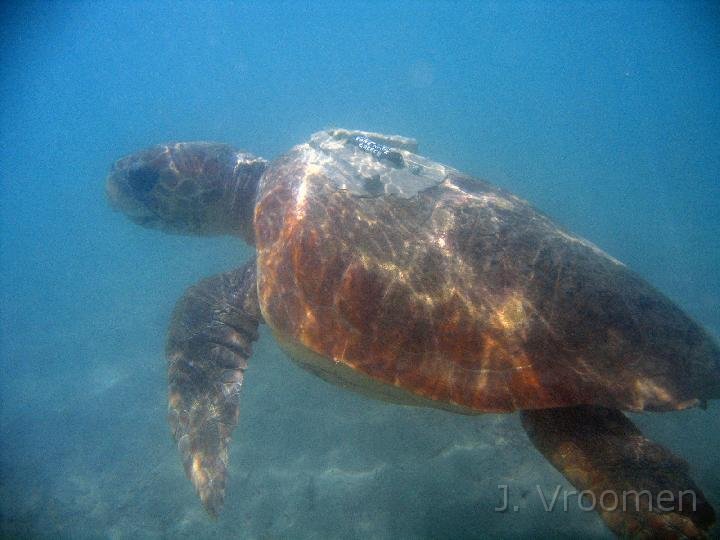 IMG_4998.JPG
