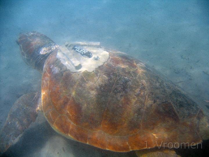 IMG_5002.JPG