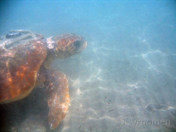 IMG_5015.JPG