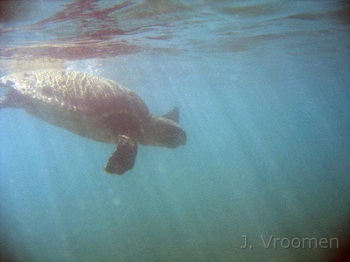 IMG_5065.JPG