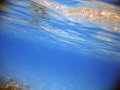 IMG_4940