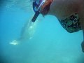 IMG_5077