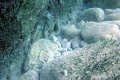 DSC00875