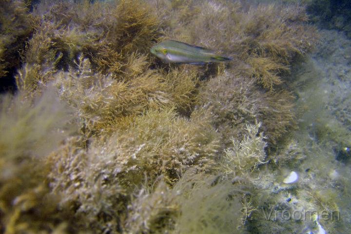 DSC00886.JPG