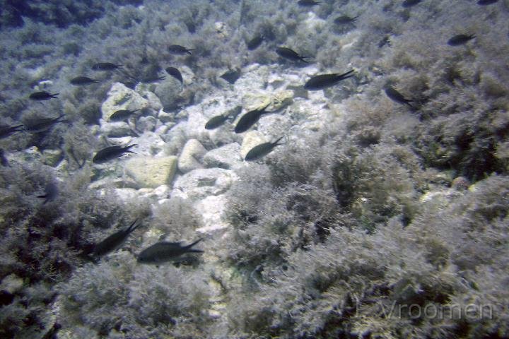 DSC00894.JPG