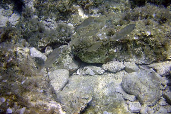 DSC00901.JPG