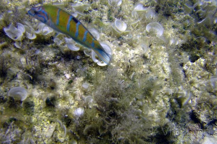 DSC00902.JPG