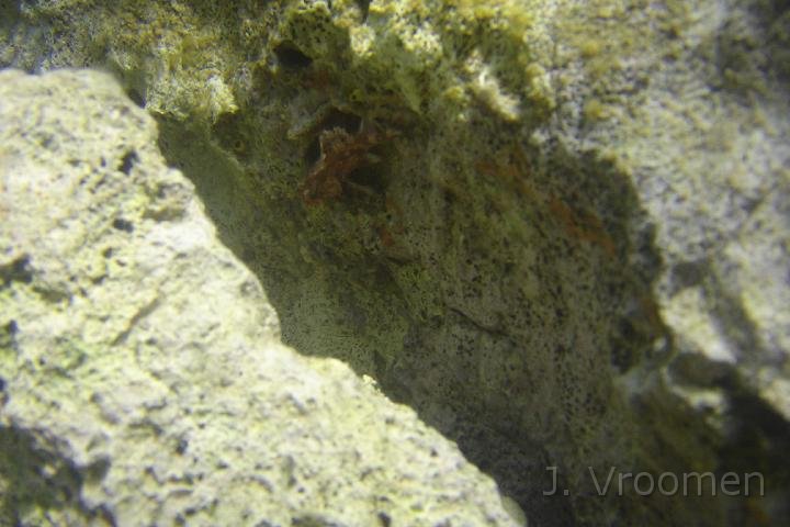 DSC00908.JPG
