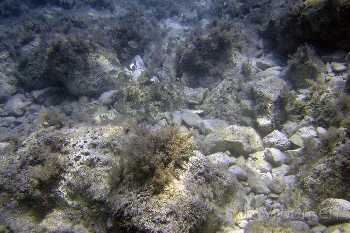 DSC00909.JPG