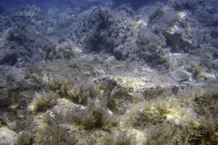 DSC00911.JPG