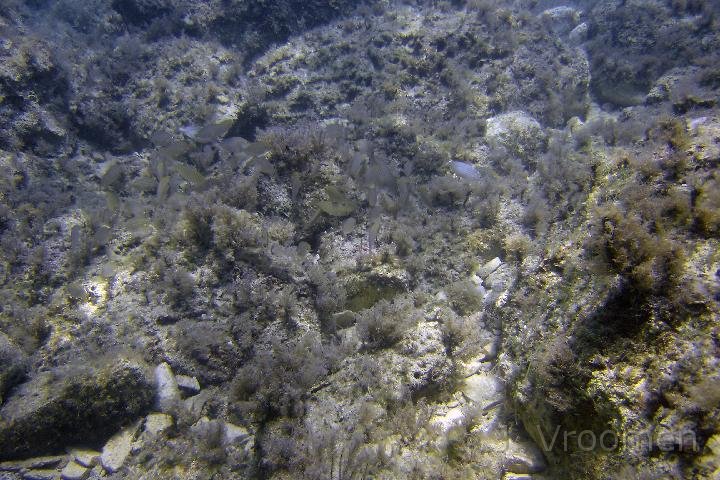 DSC00912.JPG
