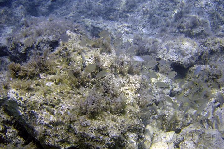 DSC00914.JPG
