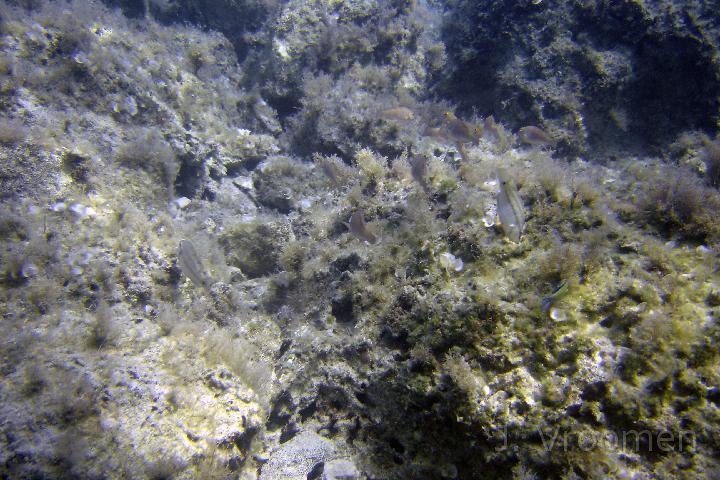 DSC00915.JPG