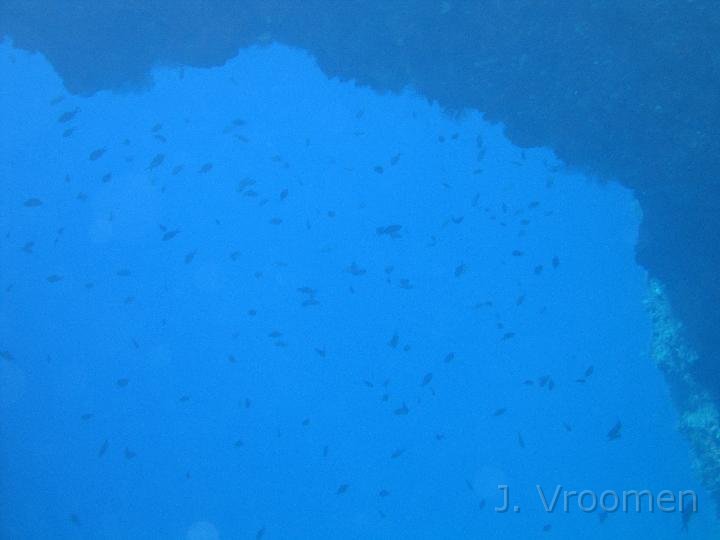 IMG_4547.JPG