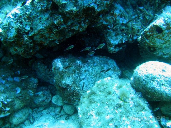 IMG_4559.JPG
