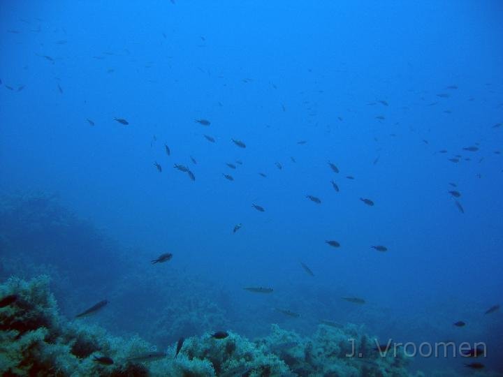 IMG_4583.JPG