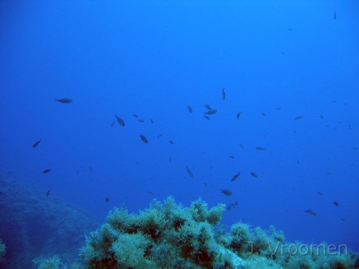 IMG_4741.JPG