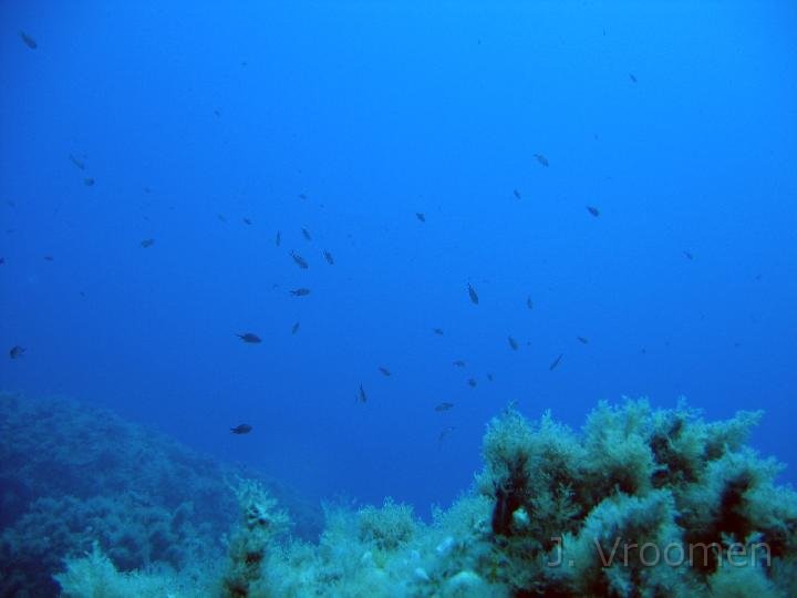 IMG_4742.JPG