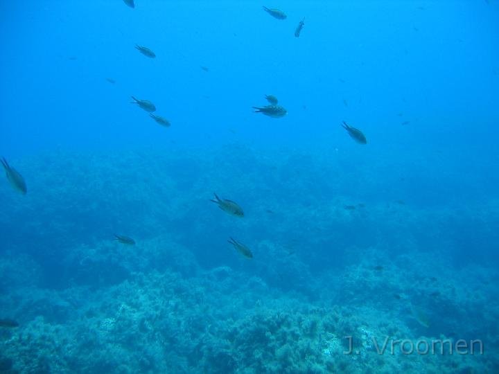 IMG_4756.JPG