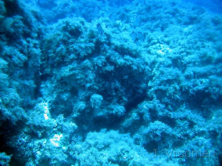IMG_4964.JPG