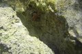 DSC00908