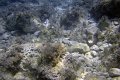 DSC00909