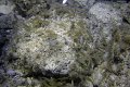 DSC00916
