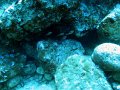 IMG_4559