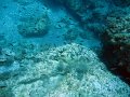 IMG_4585