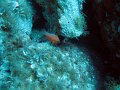 IMG_4720