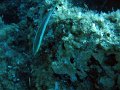IMG_4765