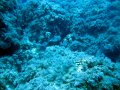 IMG_4961