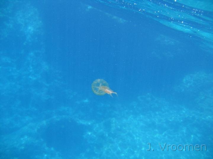 IMG_4577.JPG