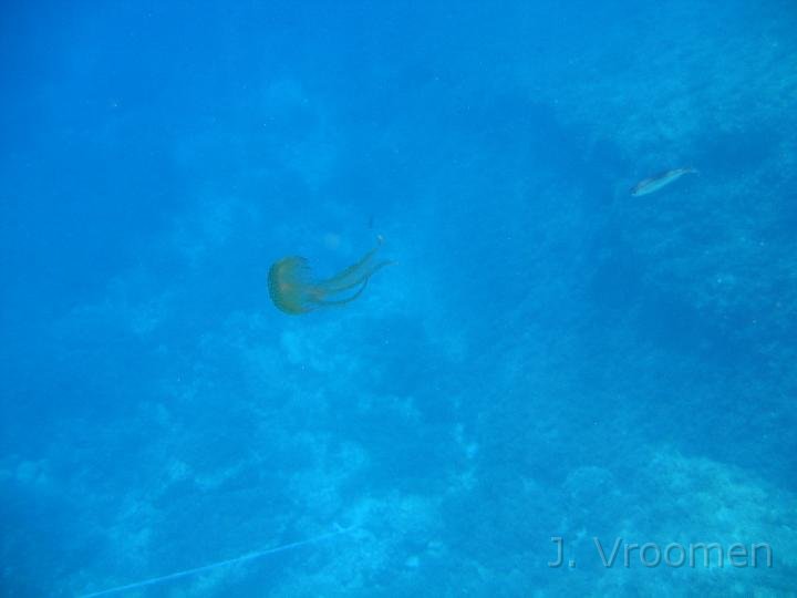 IMG_4579.JPG