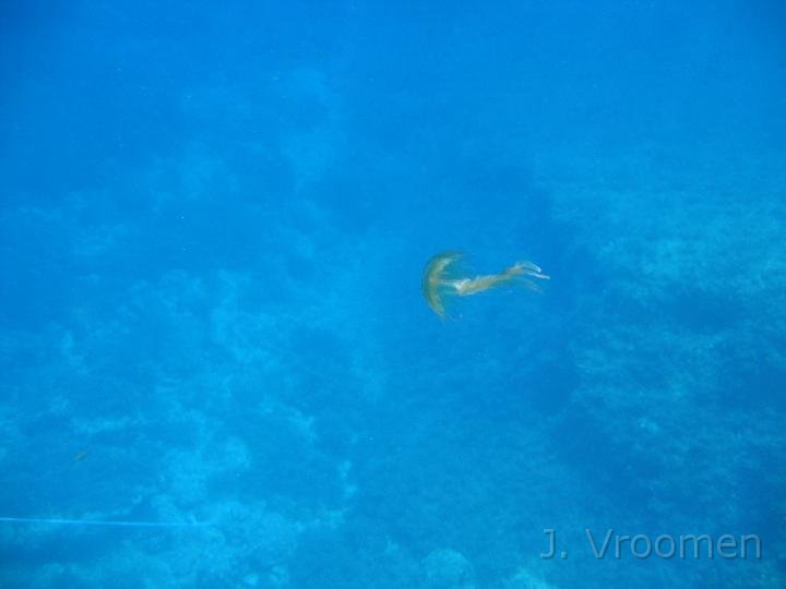 IMG_4580.JPG