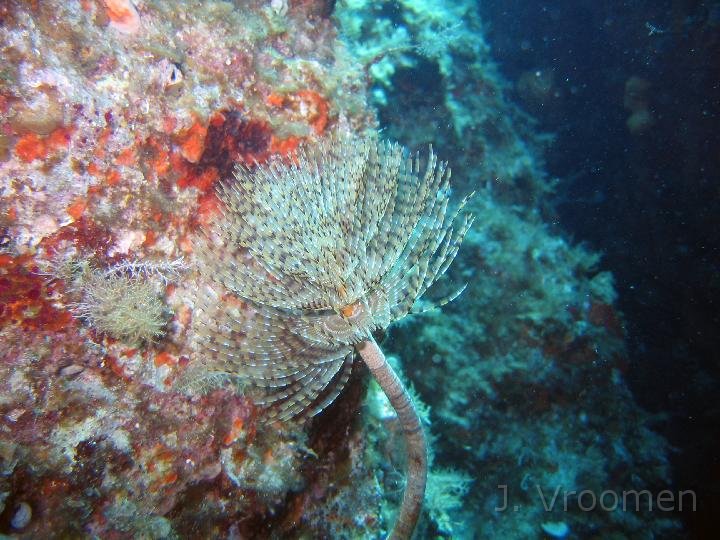 IMG_4889.JPG