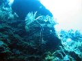 IMG_4885