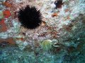 IMG_4759