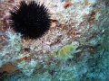 IMG_4760