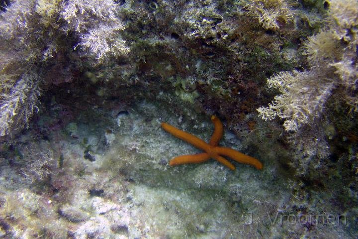 DSC00825.JPG