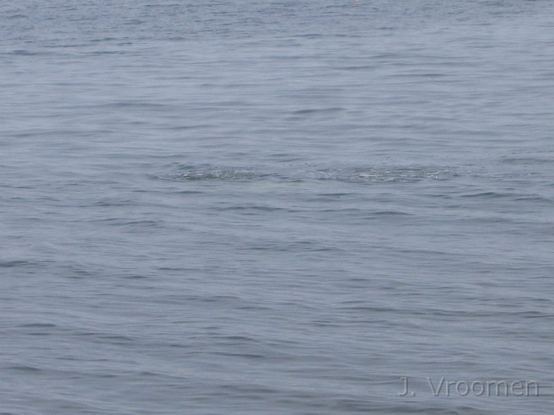 140_4087.JPG