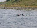 IMG_4106
