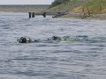 IMG_4107