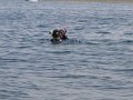 IMG_4109