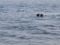 IMG_4110